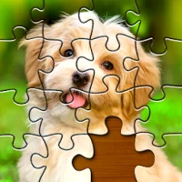 Jigsaw Puzzles: Picture Puzzle