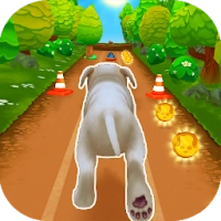 Pet Run - Puppy Dog Game