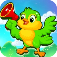 Cute animal pictures & animal