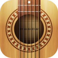 Real Guitar: acoustic electric