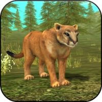 Wild Cougar Sim 3D
