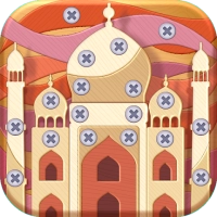 Nuts & Bolts Master Puzzle