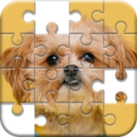 Jigsaw Puzzles Games Online