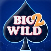 Big 2 Wild