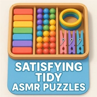 Satisfying Tidy ASMR Puzzles