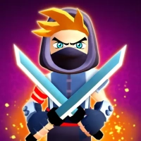 Ninja Backpack