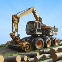 Wood Master 3D!