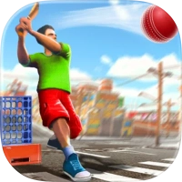 Street Cricket Championship