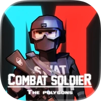 Combat Soldier - The Polygon