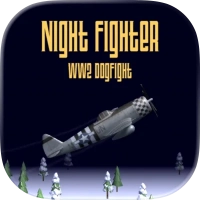Night Fighter: WW2 Dogfight