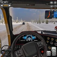 Real City Cargo Truck Driver