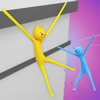 Clingy Paws - Swing & Sling