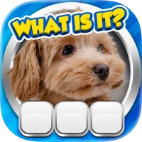 Guess it! Zoom Pic Trivia Game