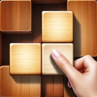 Block Woody Puzzle Games