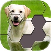 Hexa Jigsaw Puzzle ®