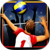 Volleyball Championship