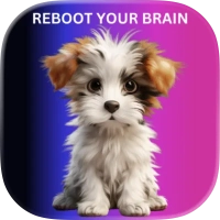 Reboot Your Brain