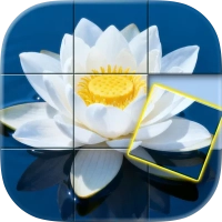 Jigmatch - Solitaire Puzzle