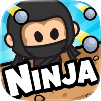 Boing Ninja