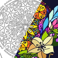 Color Story: Coloring Book
