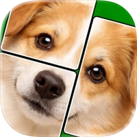 Jigmagic Solitaire - Puzzle