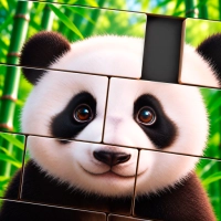Jigmagic Solitaire Puzzle
